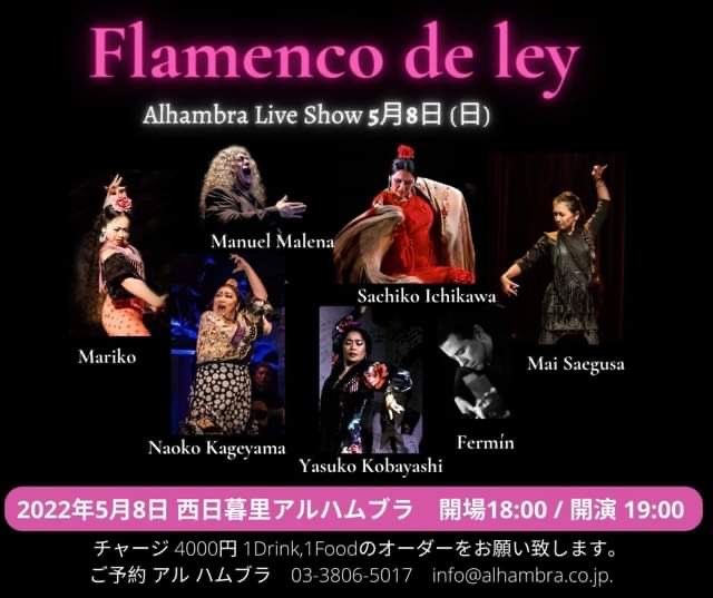 Flamenco de ley Alhambra Live Show